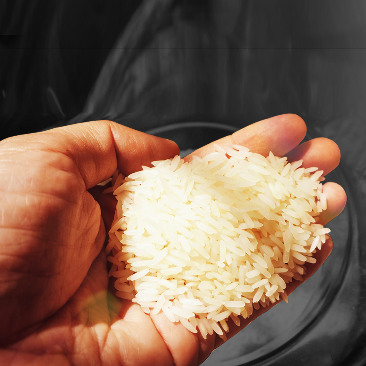 Sortex clean rice for best quality