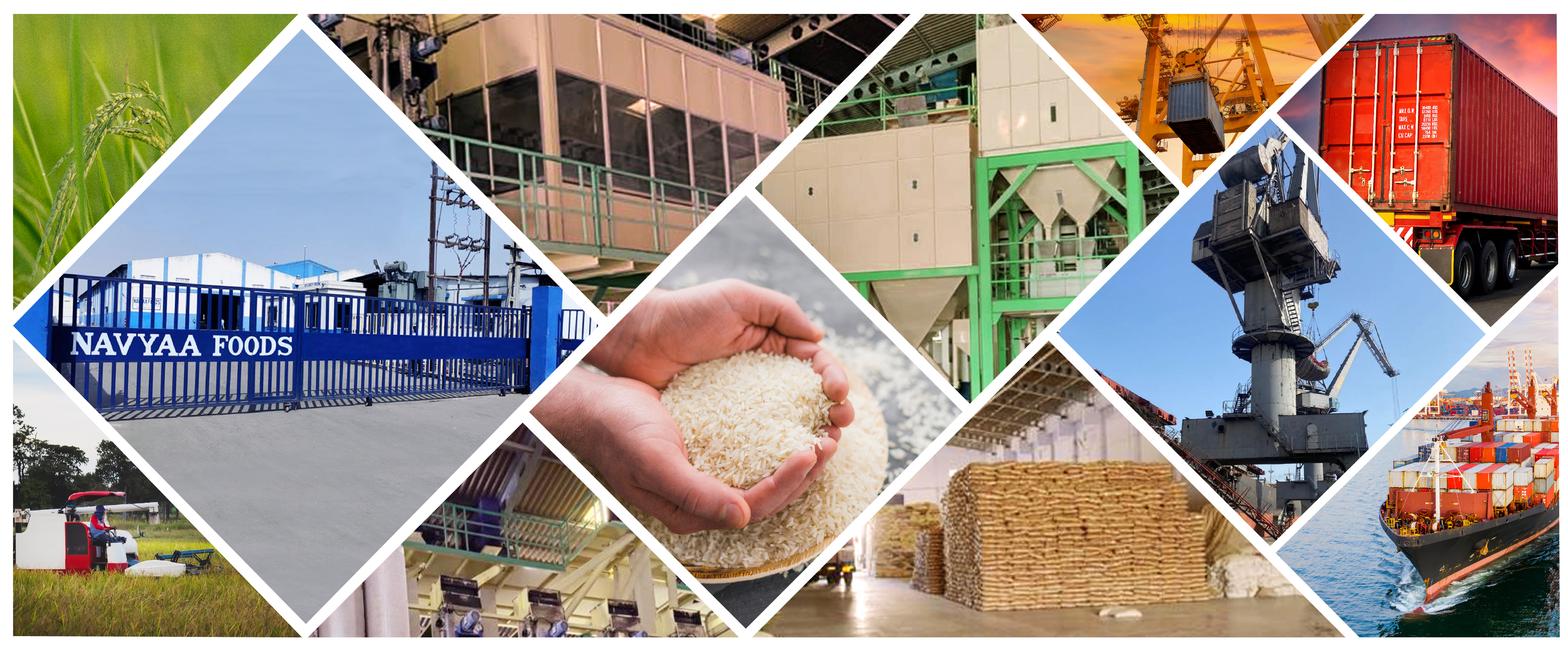 The Navyaa Foods gallery showcases a variety of images highlighting their agro products, farming practices, and the process of sourcing ingredients. This includes visuals of fresh produce, packaged products, and behind-the-scenes looks at their production facilities.