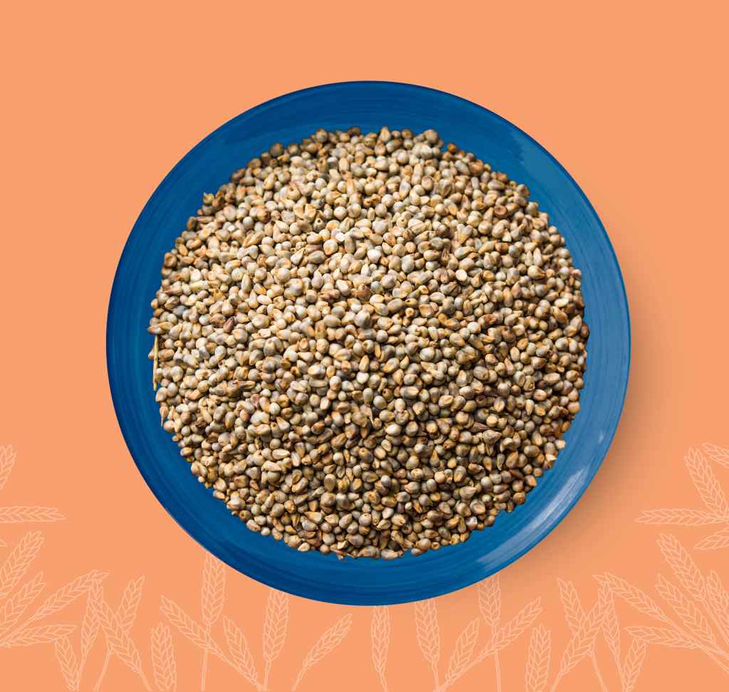 Close-up of a blue plate filled with BAJRA 