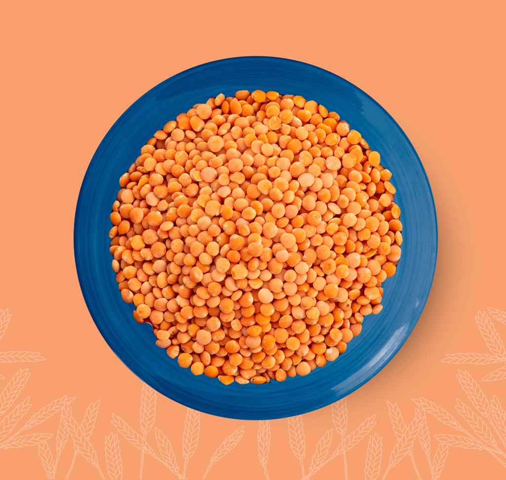Red Lentils