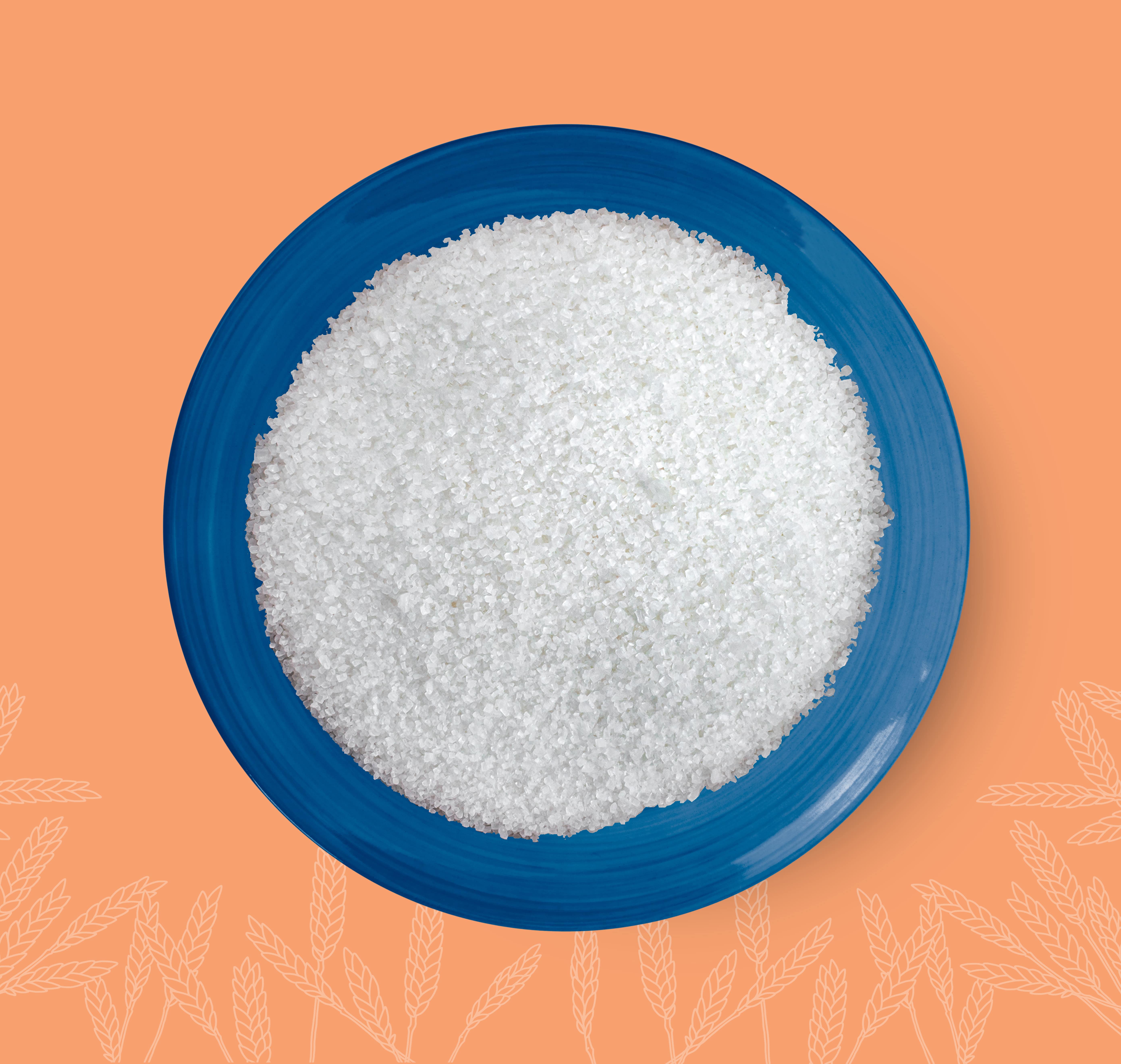 Indian White Sugar
