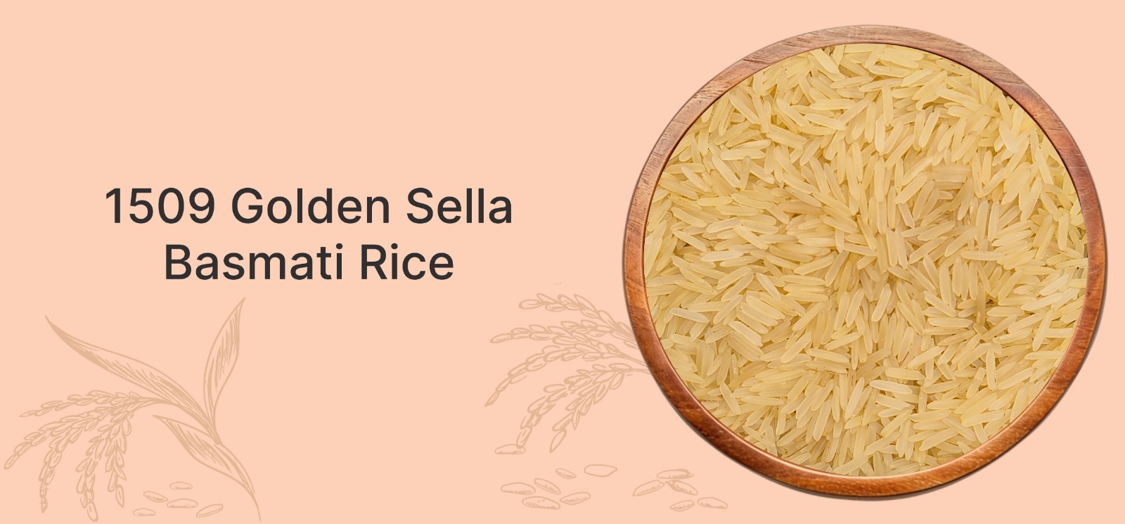 Bowl filled with uncooked 1509 Golden Sella Basmati Rice on a peach-colored background.
