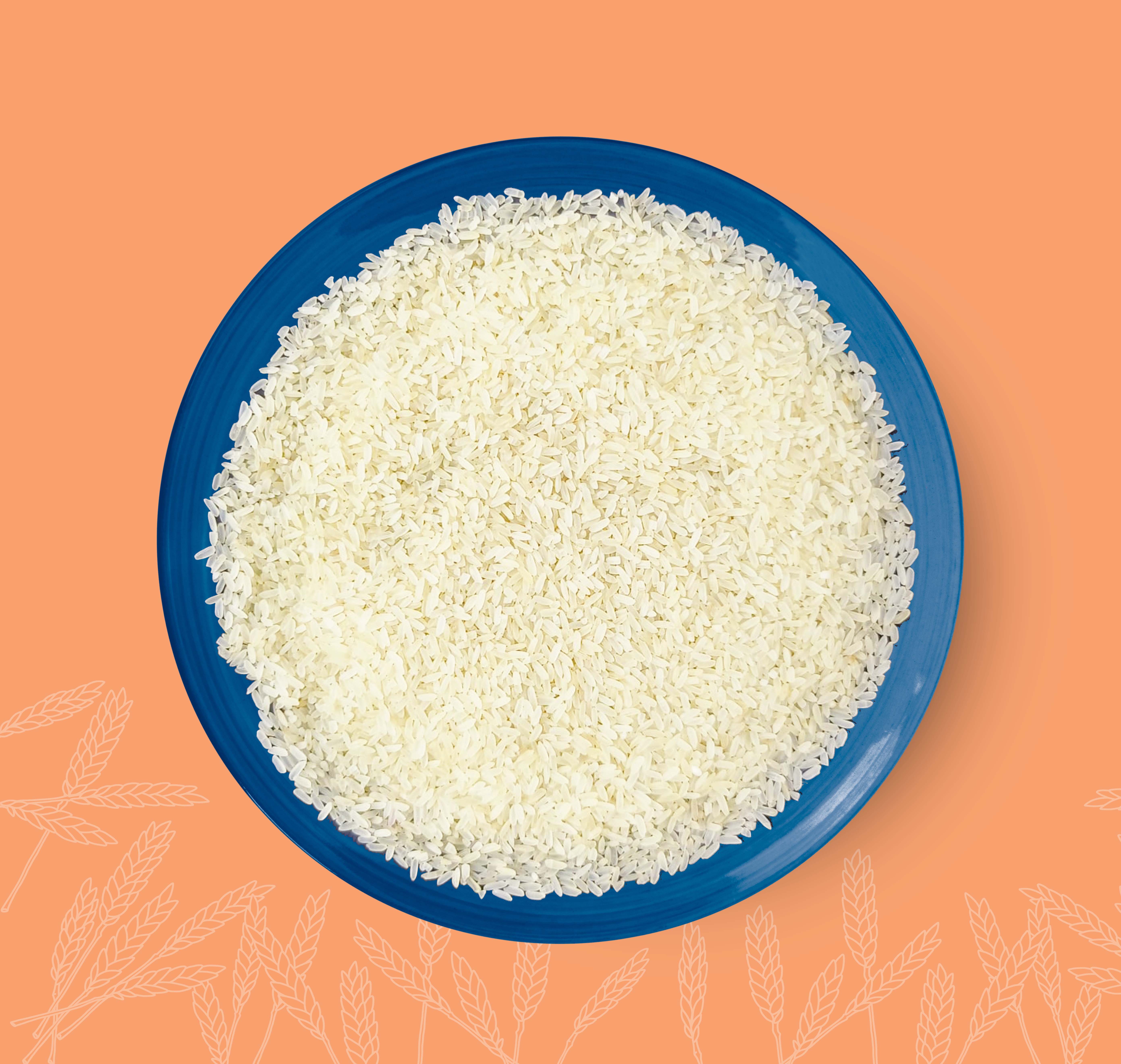 Indian Parboiled Rice 25%