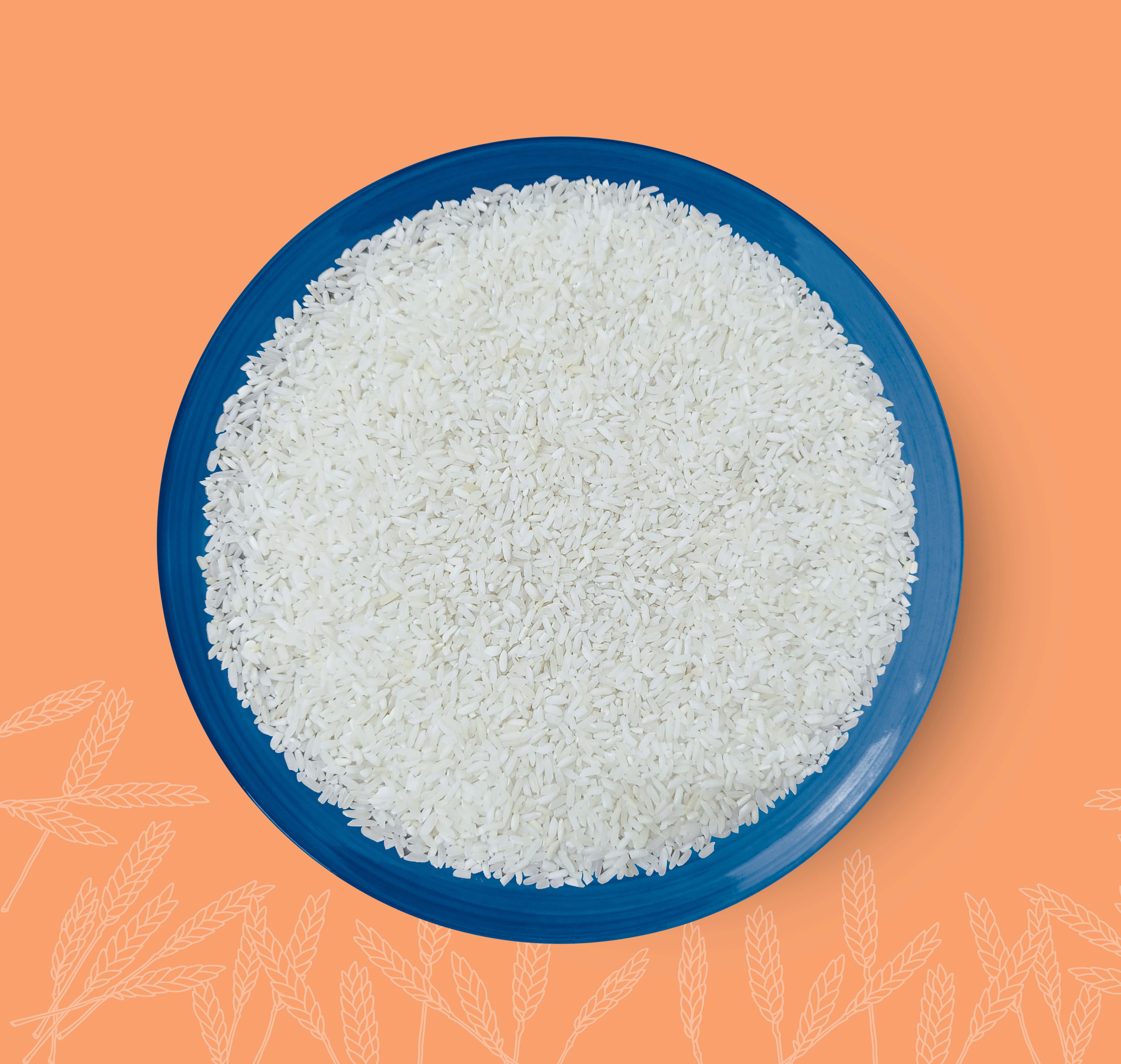  Indian White Rice 25%