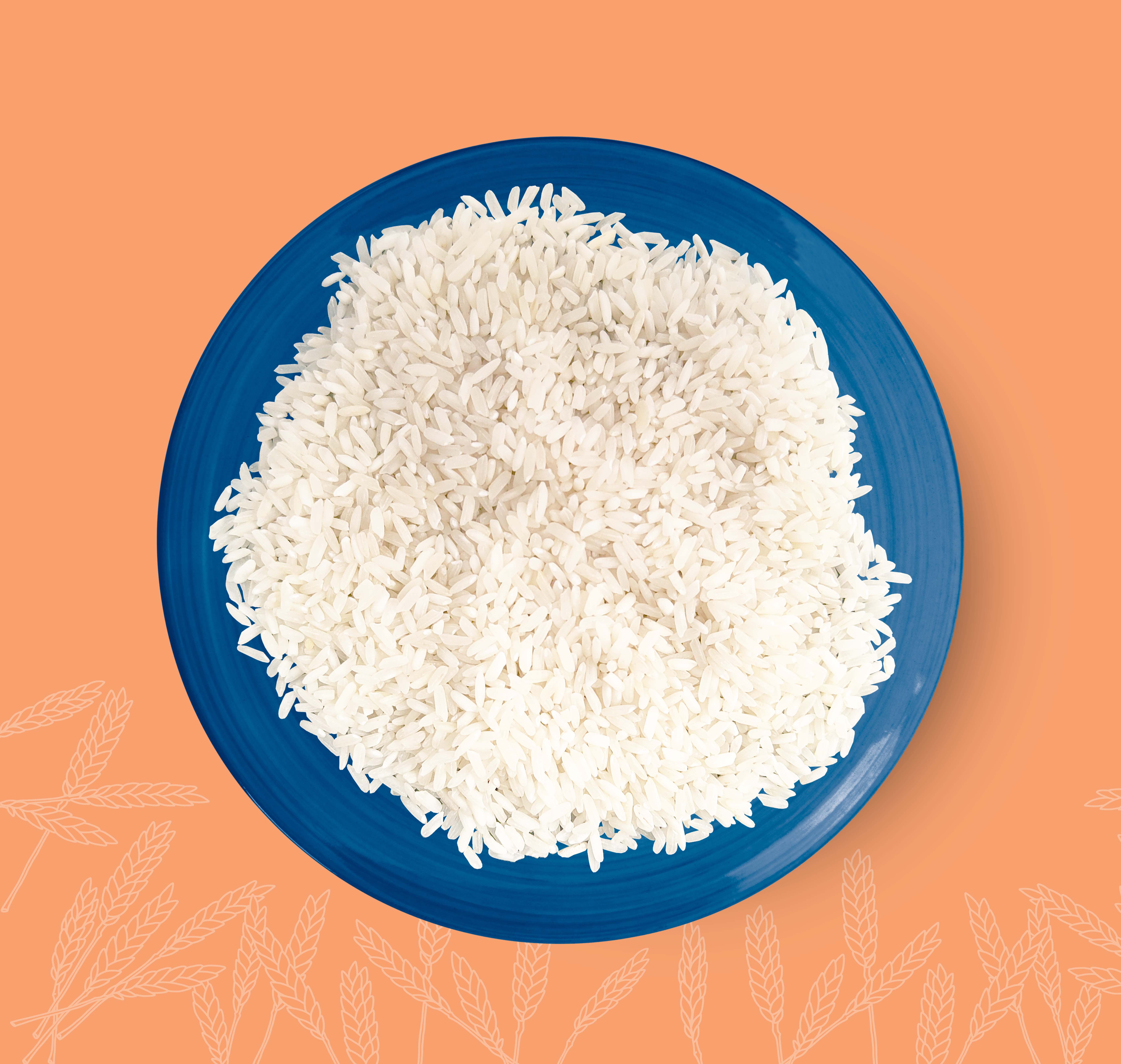 Indian White Rice 5%