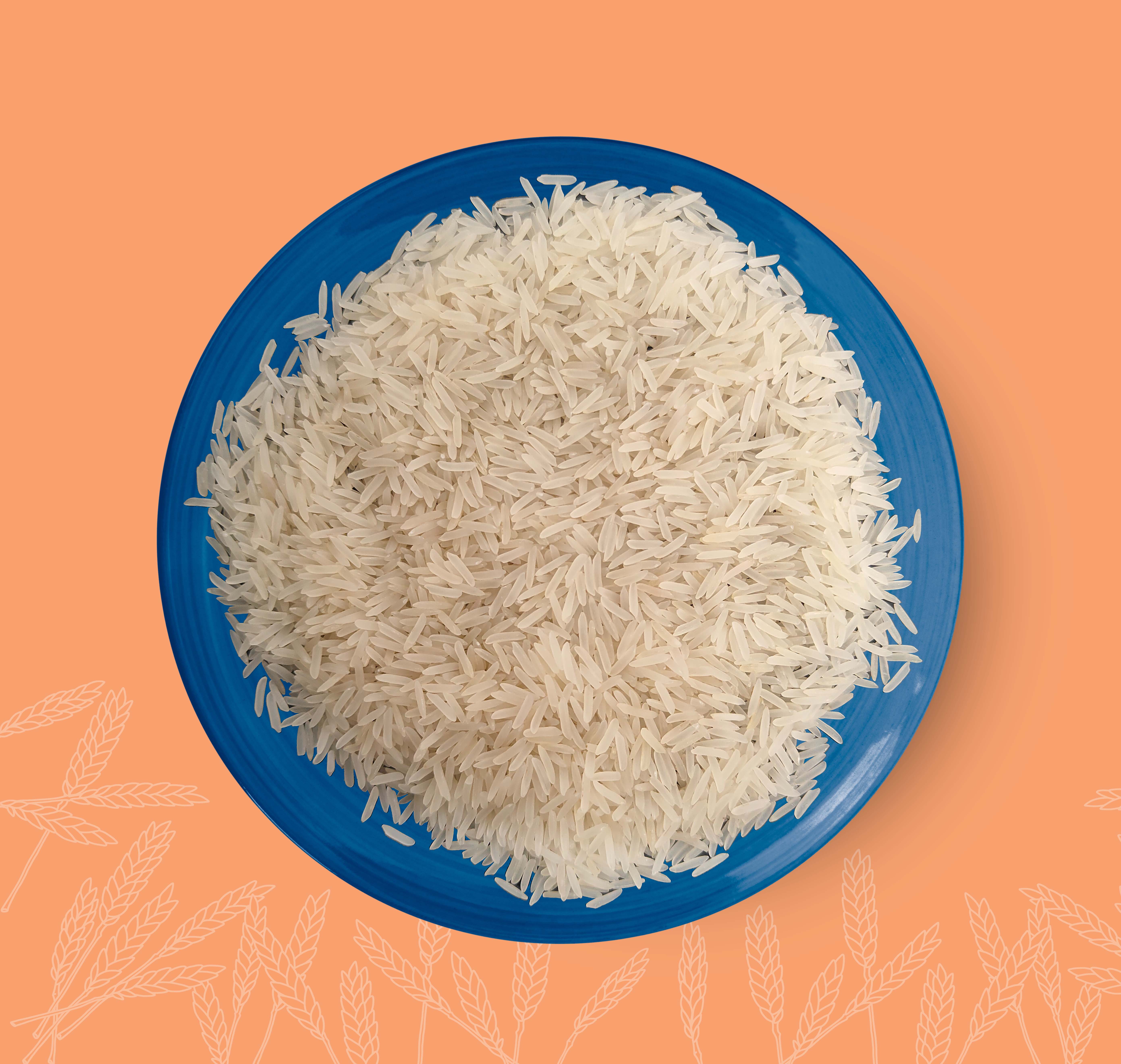 Sugandha Sella rice category
